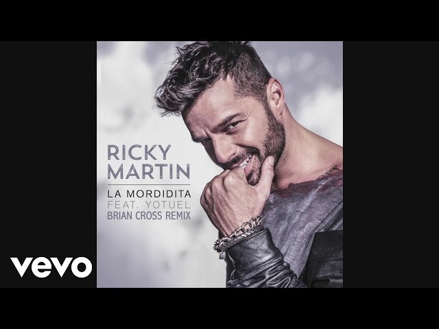 Ricky Martin - La Mordidita (Brian Cross Remix)[Cover Audio] Ft.