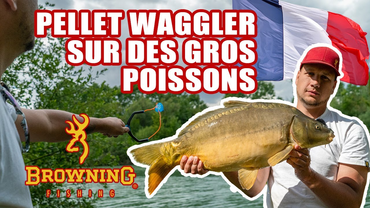 Pellets waggler sur des gros poissons