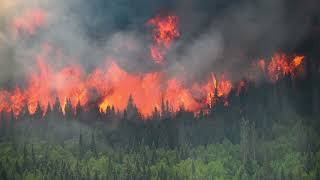 Capstone Forest Fire Video Trailer