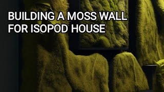 Creating a live moss wall in Isopod House #terrarium #moss