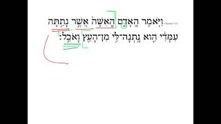 Genesis 3:12 HebrewDaybyDay Genesis 12 3 Hebrew