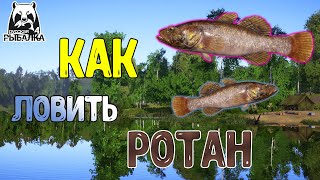 КАК ЛОВИТЬ РЫБУ РОТАН В РУССКОЙ РЫБАЛКЕ 4