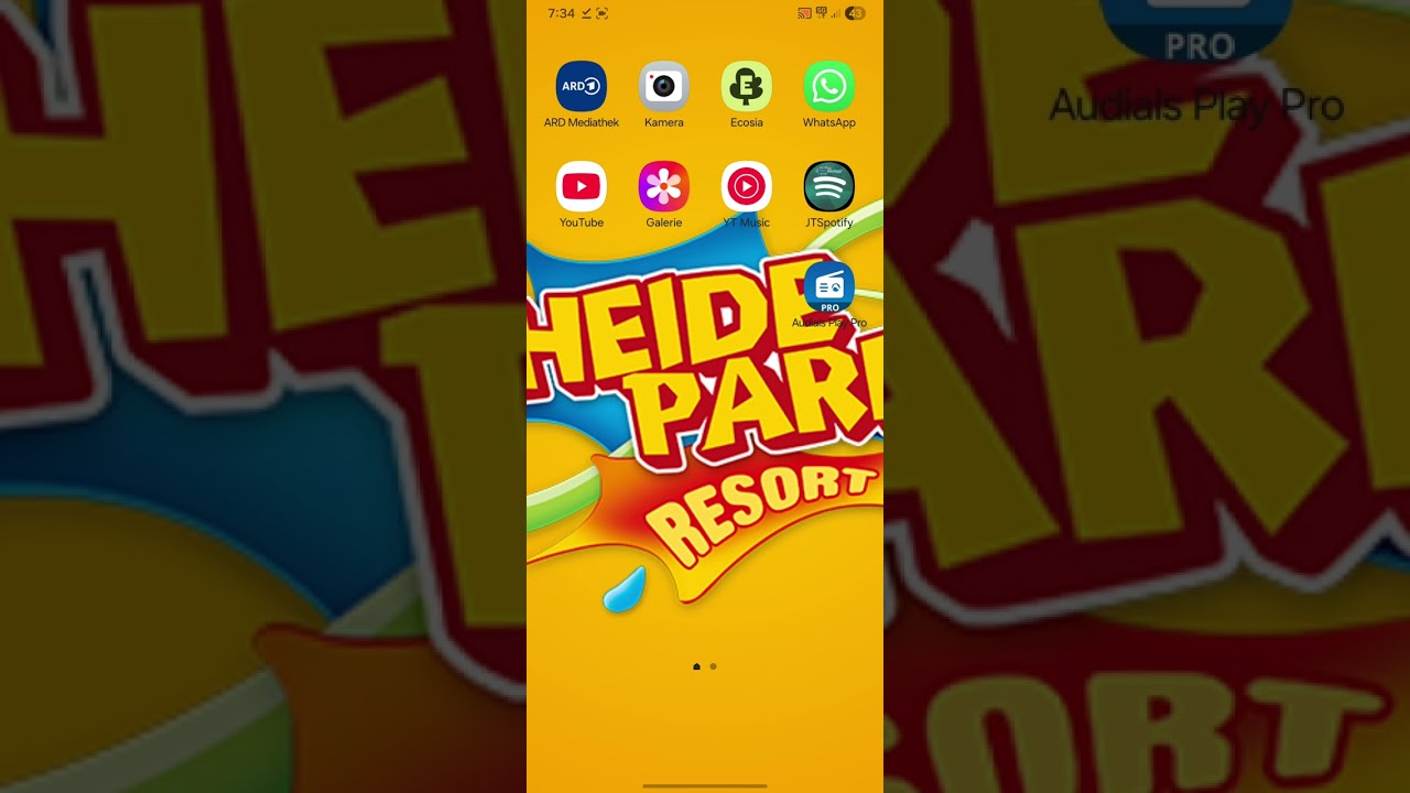 viagogo. Internet Karten für Florian Silbereisen gefälscht.