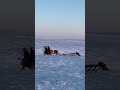 Nenets Traditional Reindeer Migration Shorts Nenets Epic Beautiful Nature 