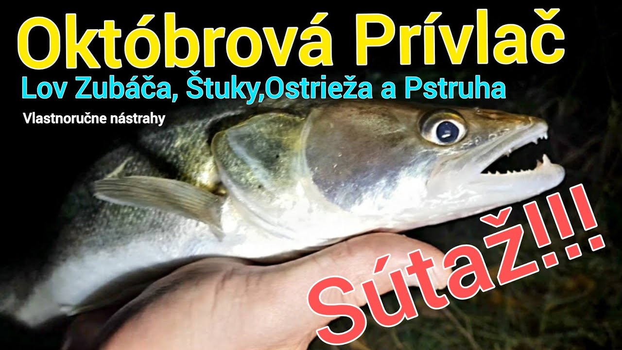 Októbrová Prívlač + SÚTAŽ  Lov Zubáča, Šťuky,Ostrieža a Pstruha/Lov Candáta,Okouna.. SpinningFishing