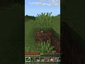 "I didn't see nothin" #minecraft