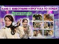 Корейский мини зоопарк/Прогулка по Хондэ и обещаю ПРОКОЛОТЬ..... /KOREA VLOG