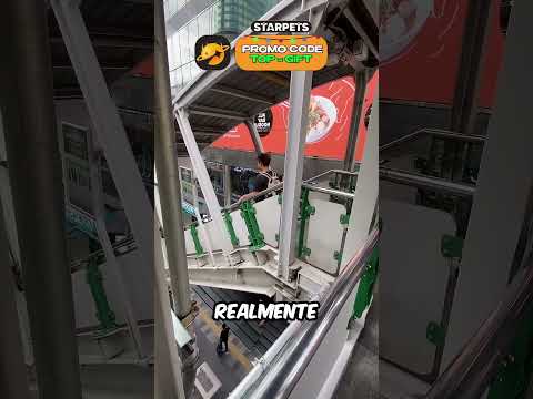 Mamá no podía creer lo que veían sus ojos 🤯