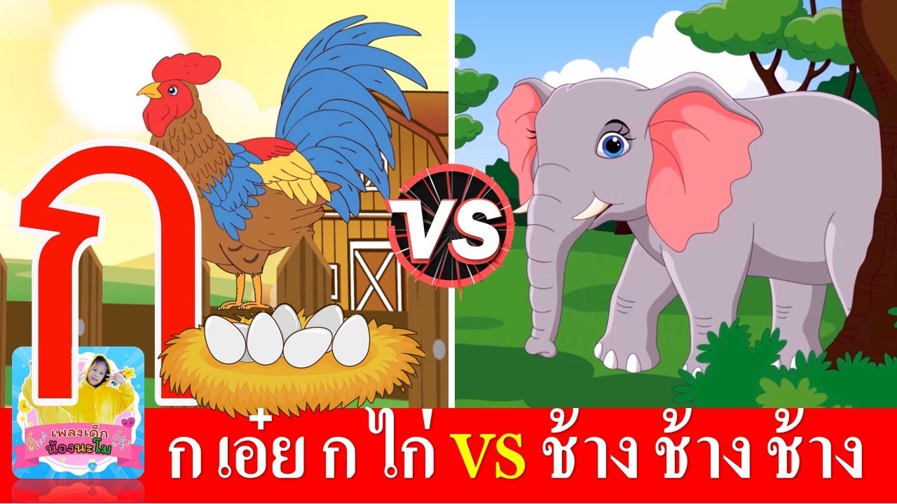 ก เอ๋ย กไก่ vs ช้าง ช้าง ช้าง