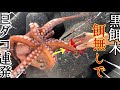 堤防タコ釣り！ショアタコ！【黒く塗ったタコエギの威力がヤバい！】