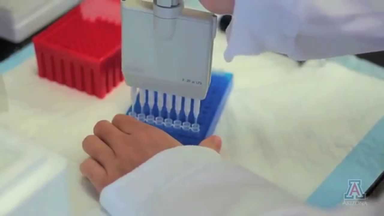 Azbio Testing AzBio PSA 2A - YouTube