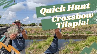 Pistol Crossbow fishing for giant Tilapia in Florida Canal: Getting better at it! A FUN Challenge!