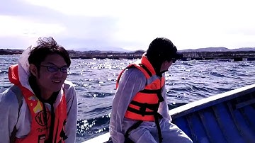 Site visit to Peru/ペルー出張