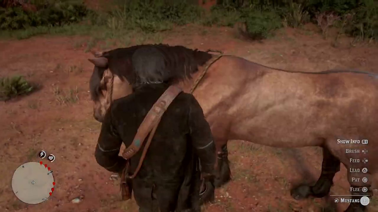 Red Dead Redemption 2 Tiger Striped Bay Mustang YouTube