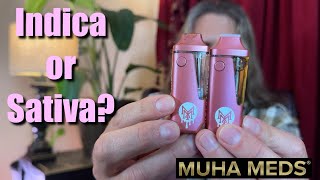 Which Muha Meds Disposable Slaps The Hardest?