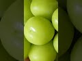 Korean Shine Muscat Grape That Tastes Like Gummy Candies