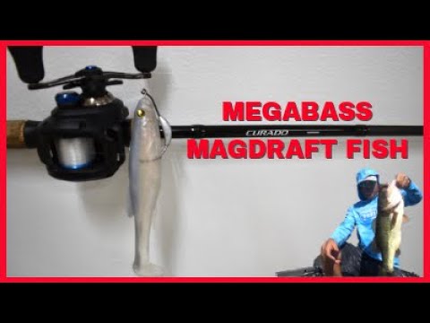 Fall Fishing For Giant Bass I Swimbait Session (Megabass Magdraft)