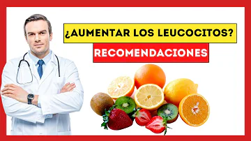 ¿Qué comer para aumentar los glóbulos blancos?