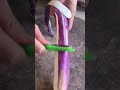 eggplant peeling technique #shorts