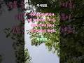 급등한 종목들 #주식힌트 #급등주 #상한가