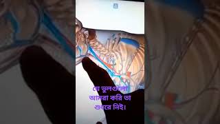 কোরবানির পশু  জবাহের নিয়ম।