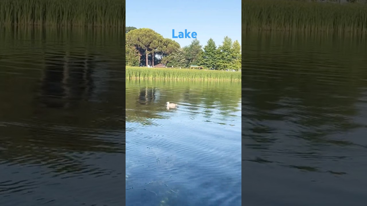 Lake Sapanka #travel #viral #short #shortfeed