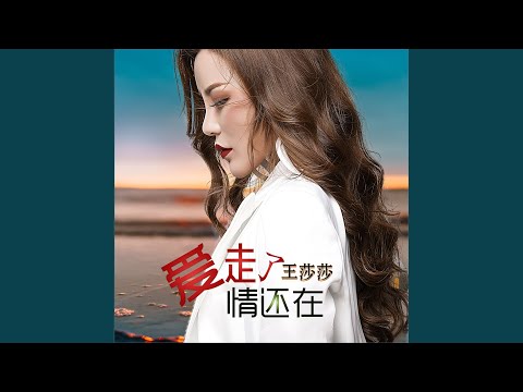 爱走了情还在 (Dj何鹏版伴奏)
