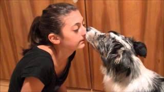 16 Profi Challenge -Trickdoggingforum by xoxSHISHIxox 798 views 11 years ago 21 seconds