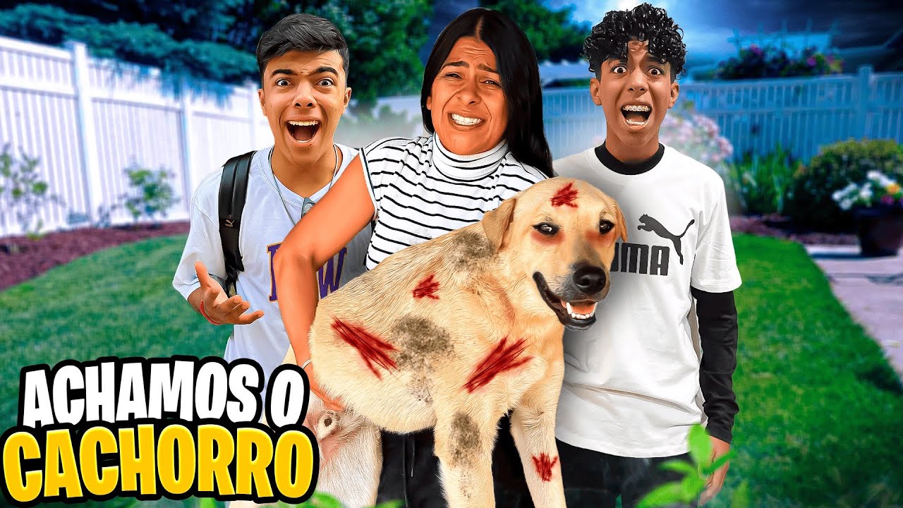 ACHAMOS O CACHORRINHO MACHUCADO ? QUEM FEZ ISSO COM ELE?