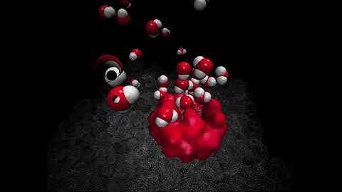 Molecular Dynamics of Cyclodextrin at Water-Bromobutane Interface