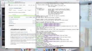 Using the CloudShark API