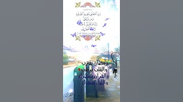 تلاوة خاشعة عطرة مباركة جميلة عذبة للشيخ سعد الغامدي ماتيسر من سورة التوبة