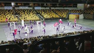 Flanagan WGI Southeast regional 2018 finals
