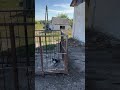 🐖✨ Як ми приймаємо поросят на фермі? Поетапний процес, що вражає! 😉