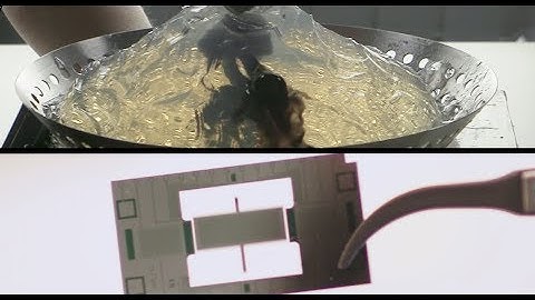 NEWTON-g: Exploring the inside of Mt Etna using gravity