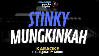 Stinky - Mungkinkah Karaoke Lirik