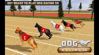 dog racing 3d screenshot 5