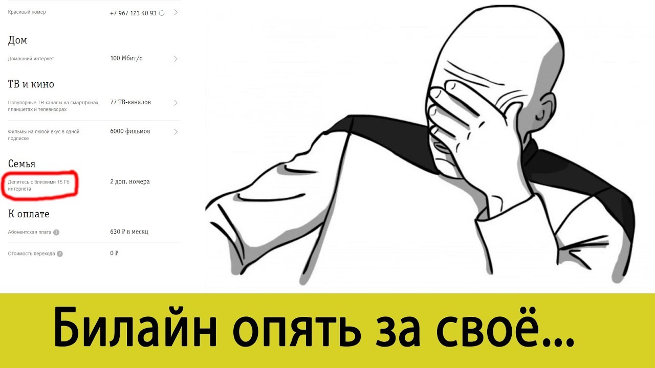 Анлим авто владимир