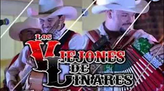 los viejones de linares en vivo subanle todo ala musica los viejones de linares en vivo subanle todo ala musica