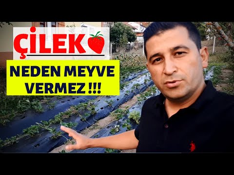 Video: Şehir Bahçeleri İçin Kış Bakımı - Bir Kent Bahçesinde Kışlama Nasıl Yapılır