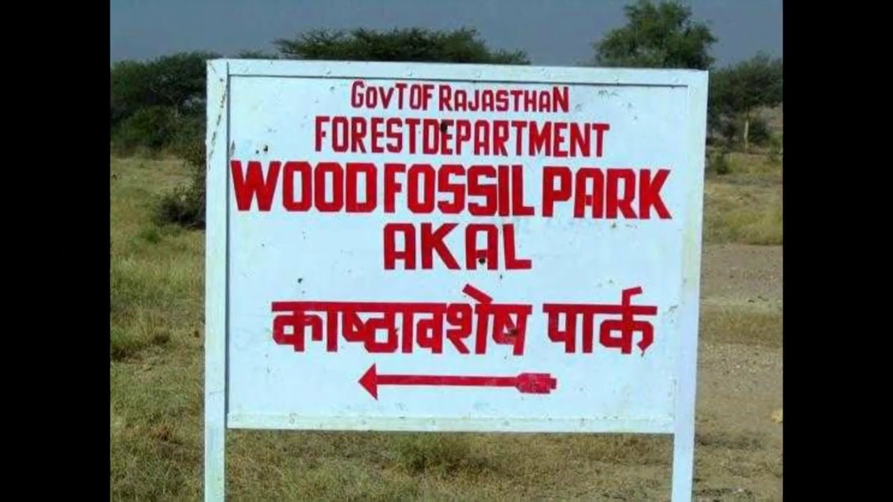Akal wood fossil park | National geological monument