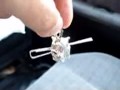 TriCeratops Skull BELL - BOTH.mov