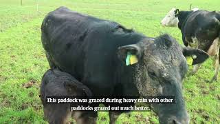 Grazing challenges in Newford Farm - update 26 March 2018