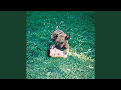 Joyce Manor - Last You Heard Of Me