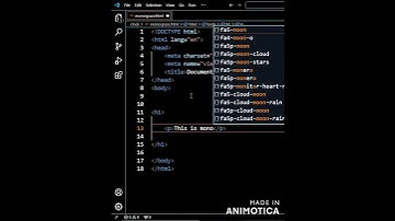HTML : tt tag #short