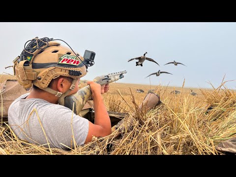 Goose Hunting Flooded Sheet Water! (CATCH CLEAN COOK)