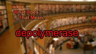 What does depolymerase mean