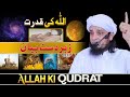 Allah ki qudrat  jabardasth bayan  mufti tariq masood