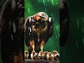 Birds Ai #nature #relaxing #viralshort #trending #cartoon #trendingshorts #@WhisperRage