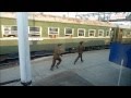 Inside North Korea by an American Tourist - Part 1 of 4 HD (TRAIN PORTION)